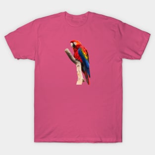 parrot rainbow T-Shirt